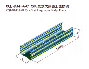 XQJ-DJ-P-A-01бP(pn)ʽR