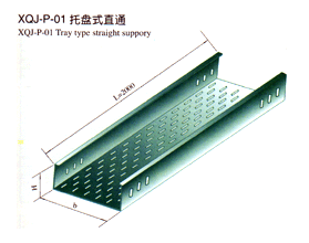 XQJ-P-01бPʽֱͨ